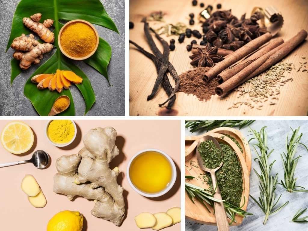 как делают экстракт из растений