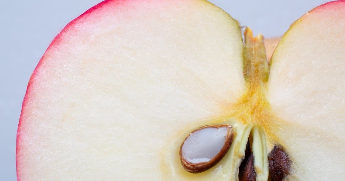 Как работают антиоксиданты в натуральной косметике