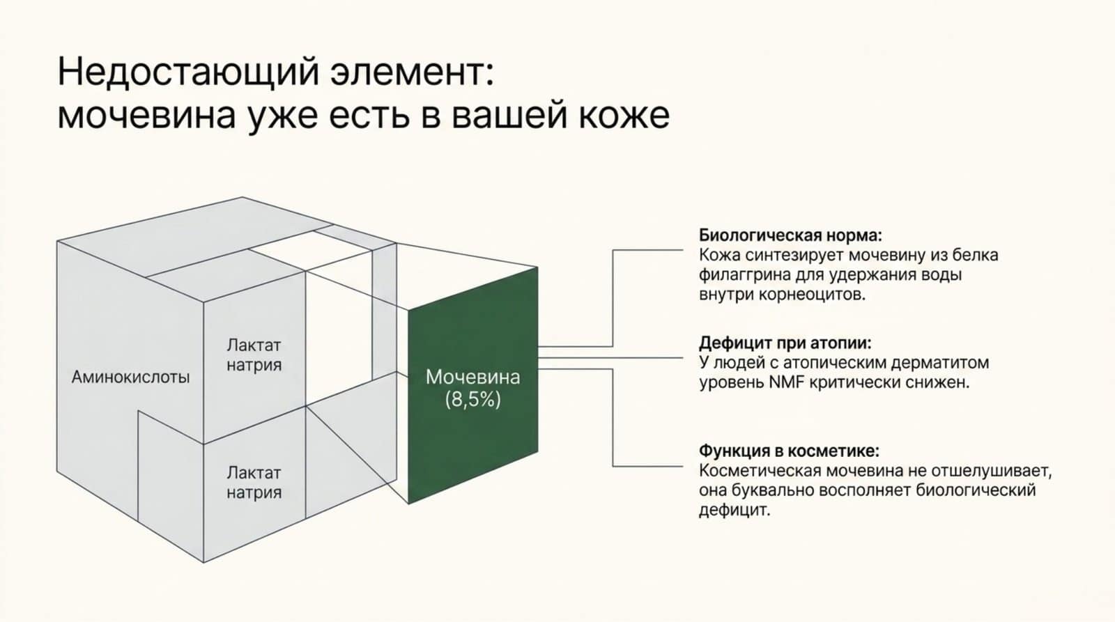 Мочевина в коже человека