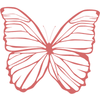 Консультация для любителей