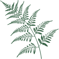 Групповое обучение мыловарению и косметике