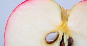 Как работают антиоксиданты в натуральной косметике